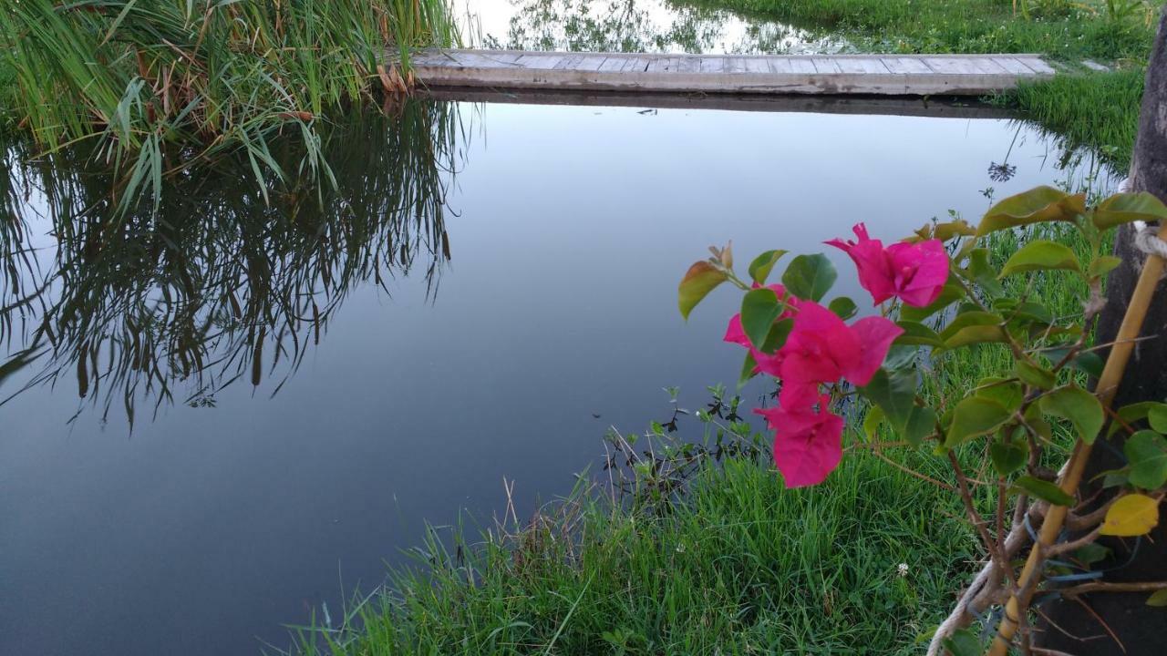 Bed and Breakfast El Tramway Casa Antigua De Campo San Antonio de Areco Exteriér fotografie